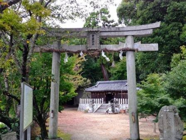 Sakamoto119̋RQ_Ђ̓eʐ^1