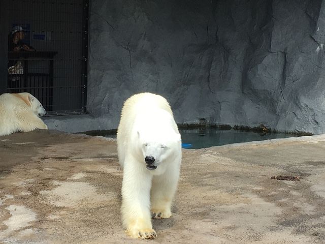 ���R������