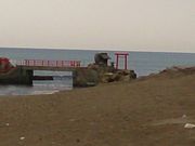 肻Ȃ̔Ԑ_EԐ_C̓eʐ^1