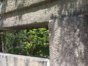 Sakamoto119̋ʑא_Ђ̓eʐ^17