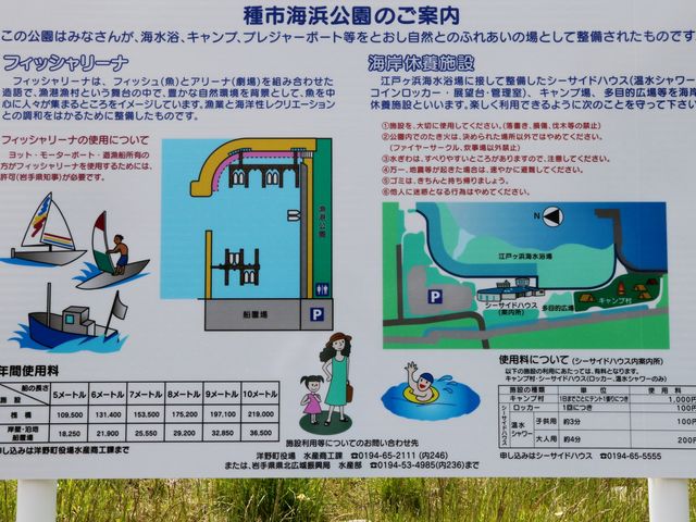 Ƃ񂳂̎stBbV[i̓eʐ^3