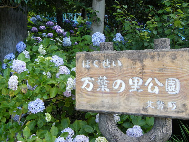 ���t�̗�����_���t�̗�����