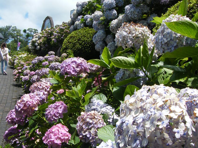 ���������̖���_���t�̗�����