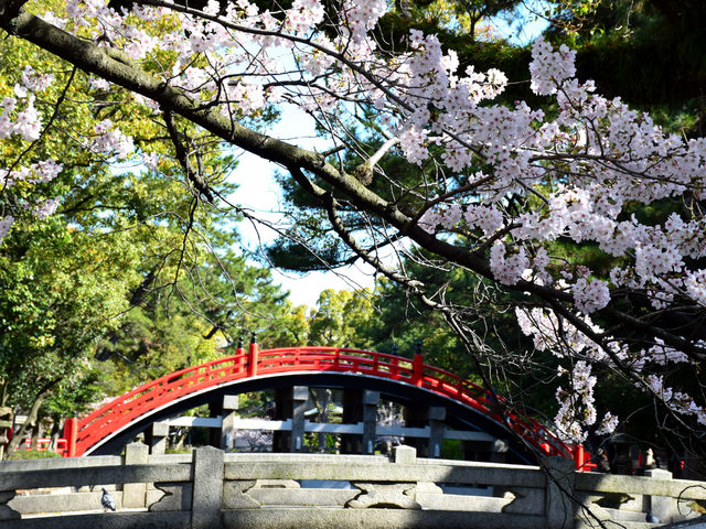 ����_�����i�Z�g��Ђ̑��ۋ��j