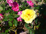 䂸҂̂ӂωo܂̓eʐ^2