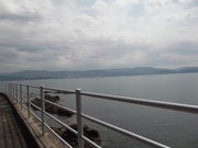 vmisf̐VẩYόVH̓eʐ^1