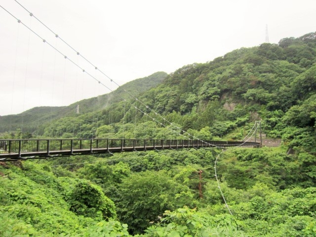 �|�₨���݂苴_�S�{�쉷��