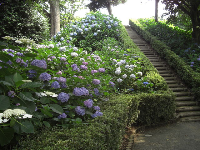 �߂��ڂڂ���̑�ˌÕ��̓��e�ʐ^1