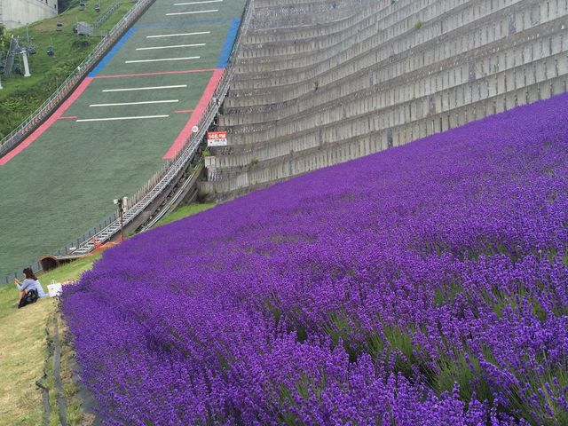 �W�����v��ƃ��x���_�[_��q�R�W�����v���Z��