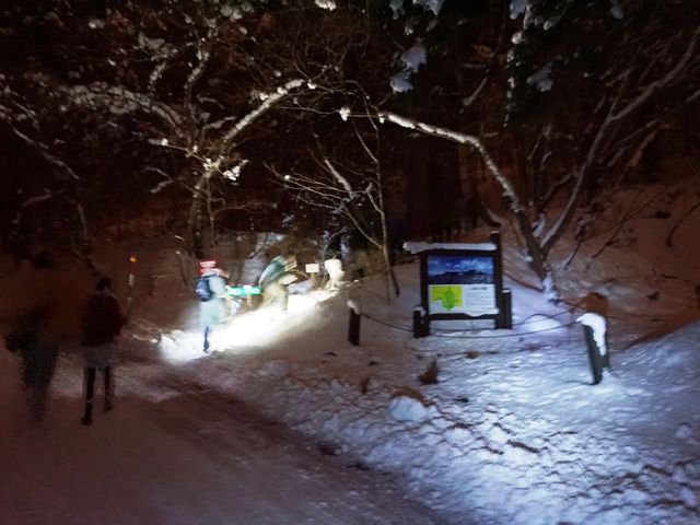 �R���֌������l�X_���َR