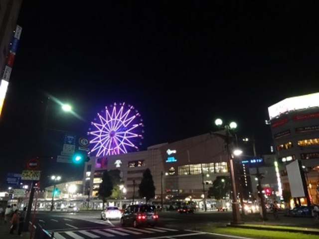 �����������w�O_�����������w