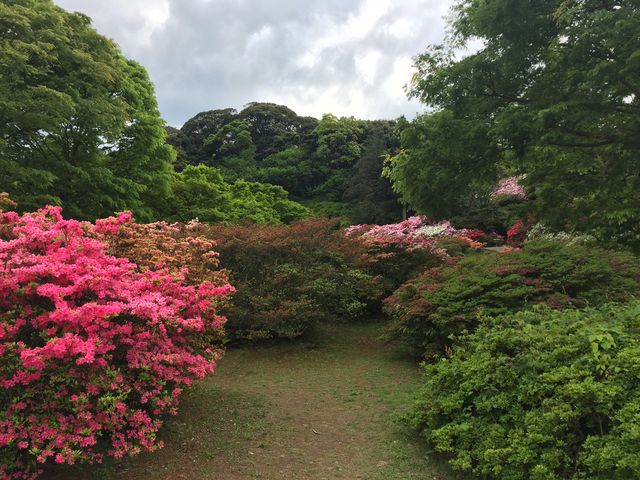 ���ǎR_���ǎR