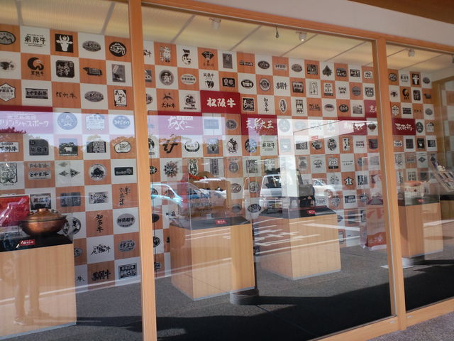 jibo̊`]˒{X OvU̓eʐ^1