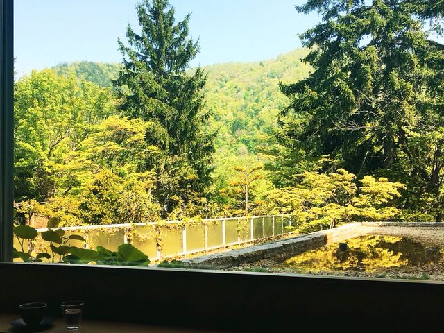 �i�F���悭�S��������܂����B_��R�k��ꛏ�����@���R��