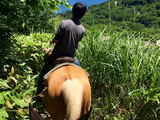 uo艺AnƗDX^bt̊F_CNg[`