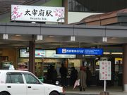 sJ񂳂̑ɕ{sn抈{݁@ɕ{ق̓eʐ^1