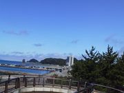 񂲂̃TZbgr[`ނ̓eʐ^1