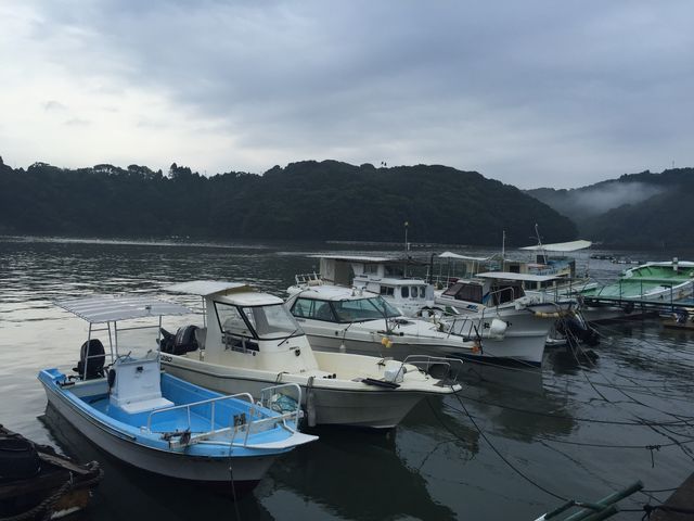 ��A���ŊC�ق�����ώ@���܂����B_���т���