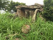 �Ă���̏��l��Õ��Q�̓��e�ʐ^1