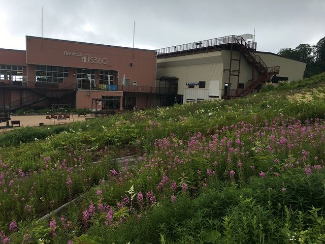 ���n�ܗ����R�A����_���n�ܗ����R�A����