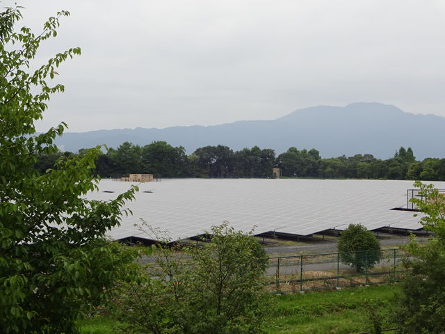 ���z�����d_��A��������