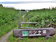 サロベツ国立公園パンケ沼園地 アクセス 営業時間 料金情報 じゃらんnet