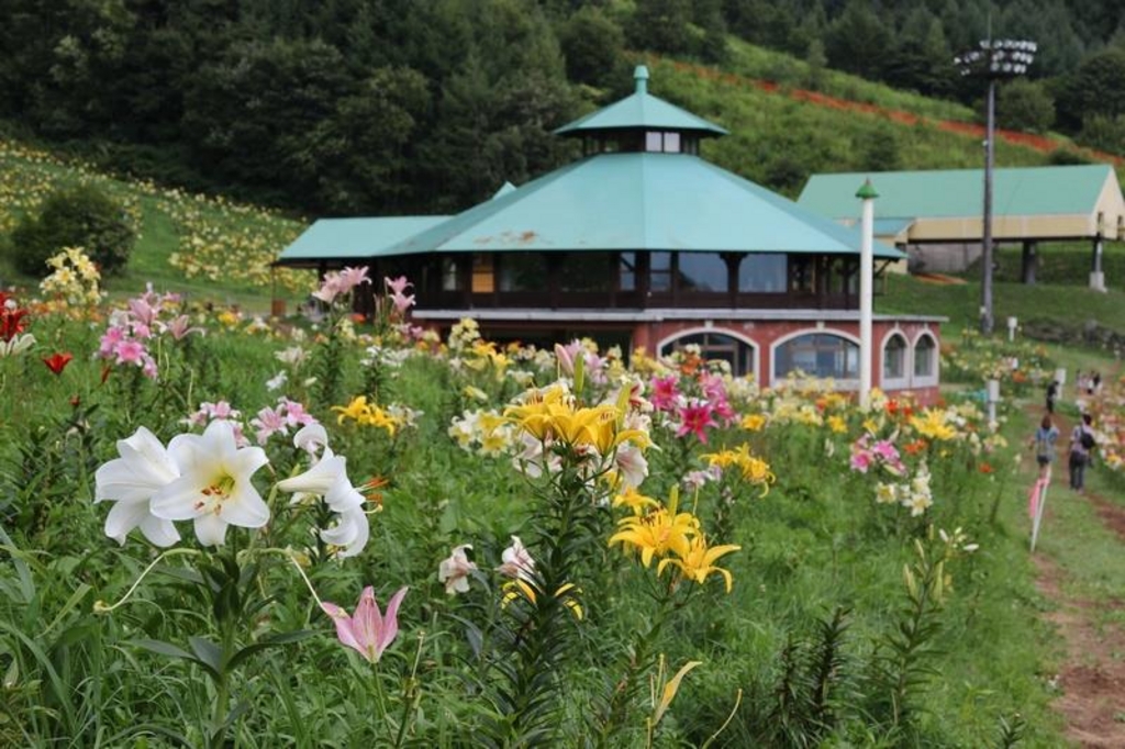 尾瀬岩鞍ゆり園