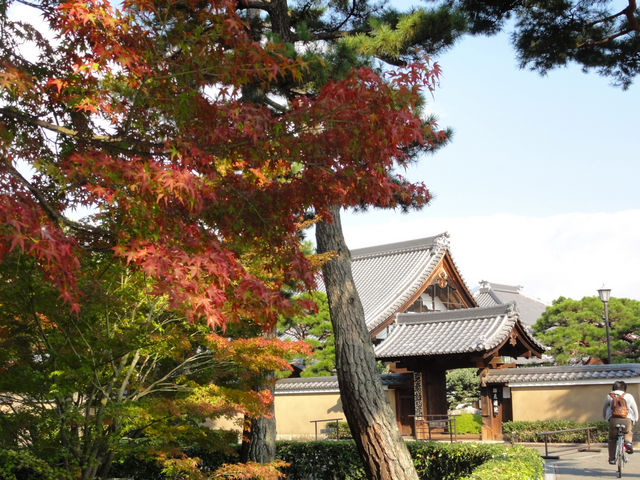 ������_������