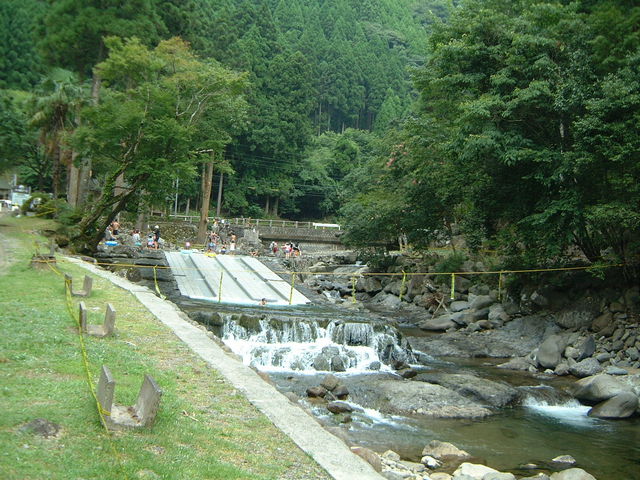 Ԃ񂳂̂ƂƂ̗̓eʐ^1