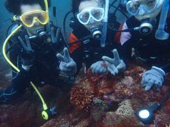 [̈ɓ_CrOXN[ gbcւ̓eʐ^1