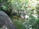 花ちゃんさんの楽水園（福岡県福岡市）の投稿写真2