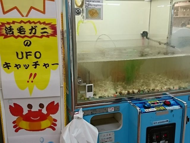 UFO�L���b�`���[(�������I)_���H�t�B�b�V���[�}���Y���[�tMOO�EEGG