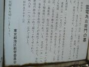 �܂��ǂ���̗��d�׉E�q��̕�̓��e�ʐ^1