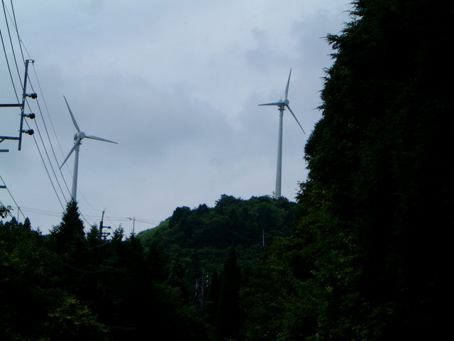 Ԃ񂳂̒փP@͔d̓eʐ^1