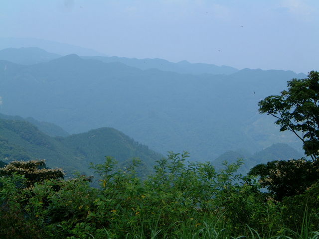 Ԃ񂳂̎߉ފxW]̓eʐ^1