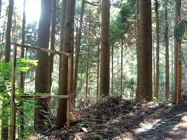 ���ւ̓���_������