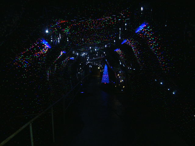 ���C�g�A�b�v_�n�ꔎ���ّ␶���R