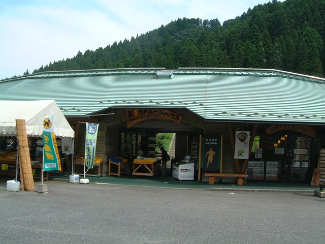 �O��_���̉w �␶���R