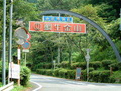 Ԃ񂳂̑␶Rւ̓eʐ^1