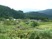 Ԃ񂳂̃Xm[s[NcLvtB[h̓eʐ^1