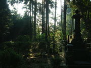 Ԃ񂳂̖@RÕQ̓eʐ^2