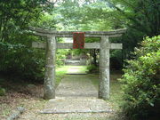 Ԃ񂳂̒Í]i{j_Ђ̓eʐ^1