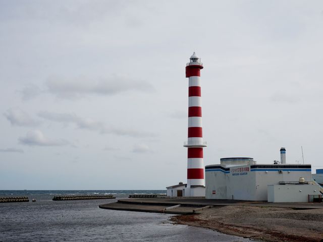 �m�V���b�v���@����_�m�V���b�v��