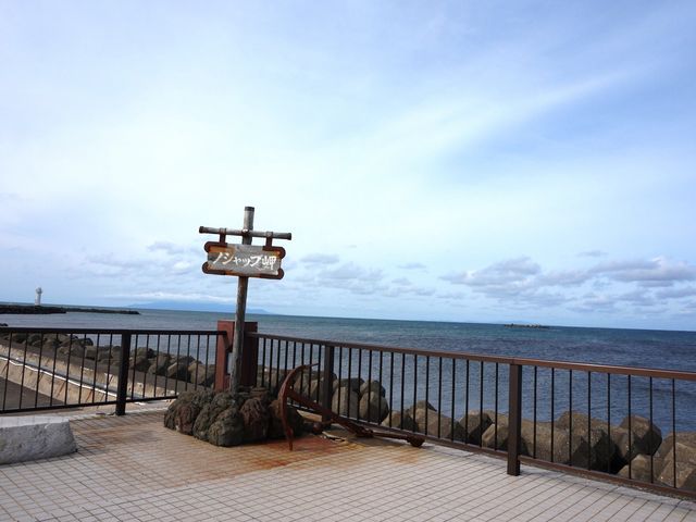 �m�V���b�v��_�m�V���b�v��