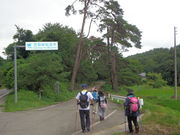 Ă񂳂̊}擻̏؂̓eʐ^1