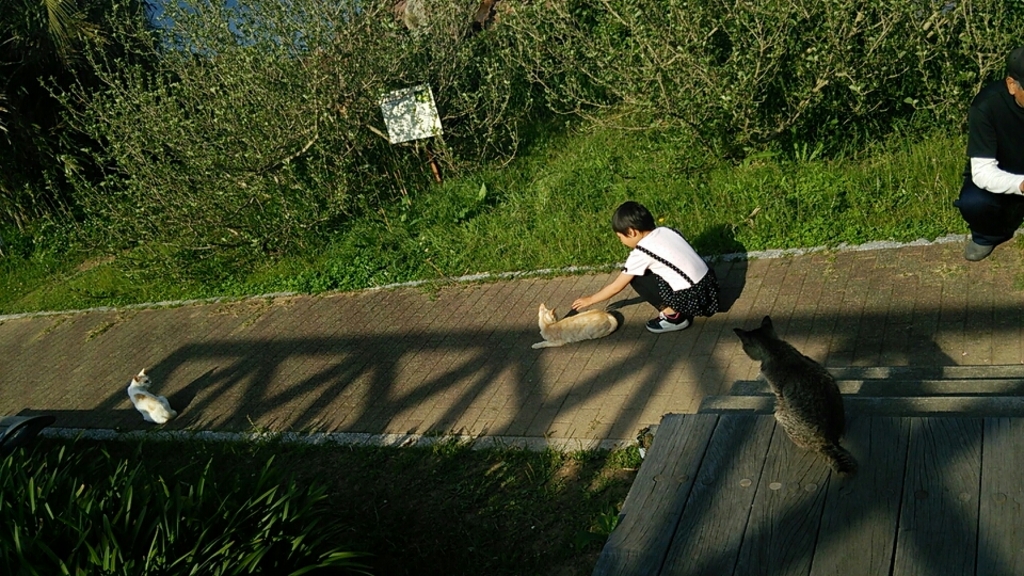大島大橋公園
