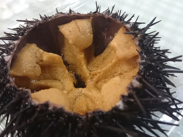 X܂oĂȂłAVNȊktEjB
̏łЂƂAƂBBQŌyĂāBiB_g@Hcss