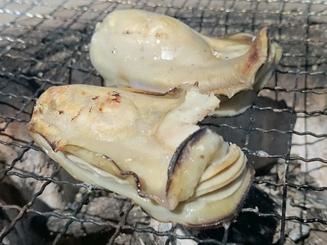 wyCŎւŁIt͗v܂I̖ĂďݖȂĂȂI_g@Hcss