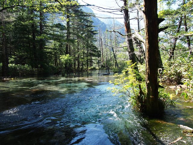 ������܂��B_�㍂�n