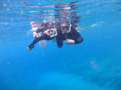 JiV}}̃V[}bNX_CrONuւ̓eʐ^1